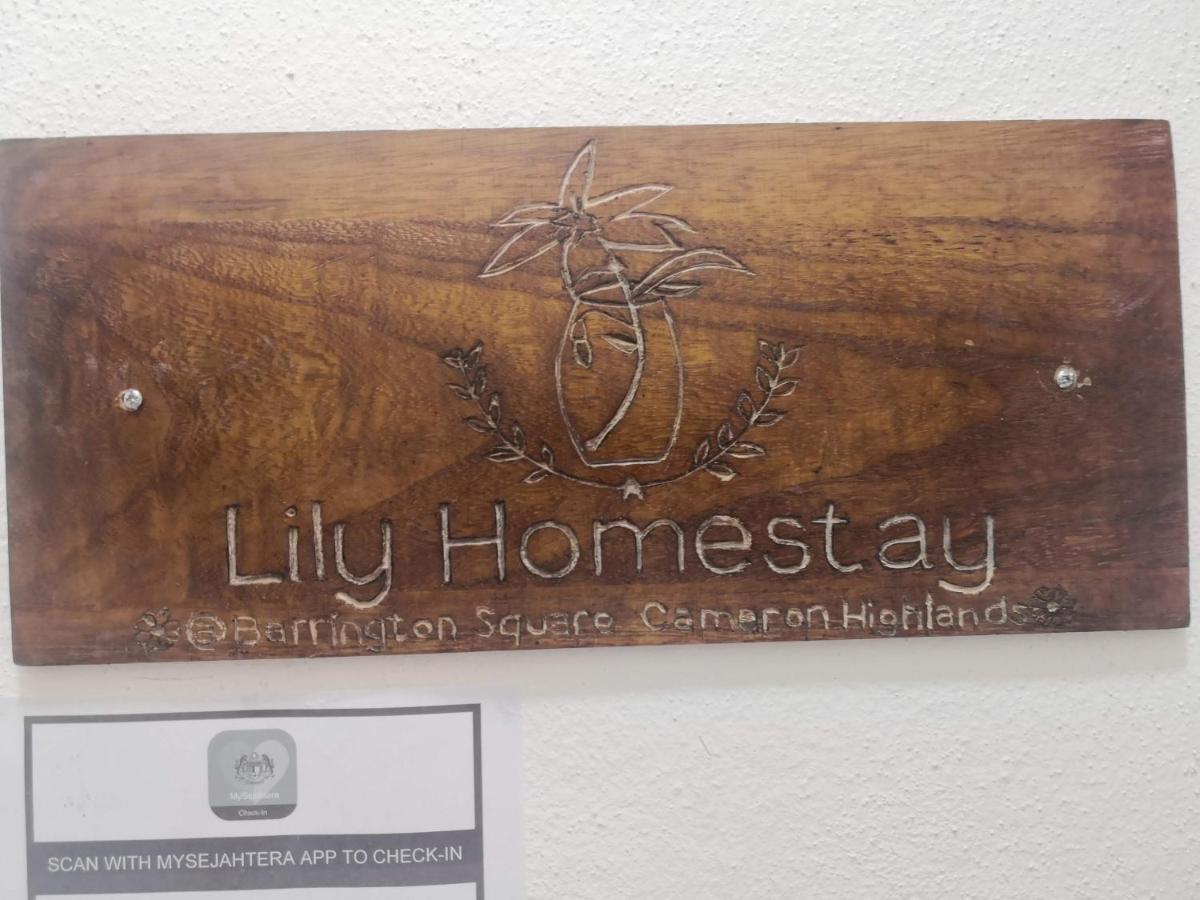 Lily Homestay Barrington Square Cameron Highlands. Brinchang Exterior foto